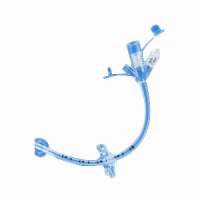 Gastrostomy Feeding Tube, 7 to 10 mL Balloon Product Image